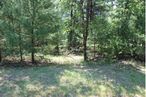 LOT 42 N Badger Dr