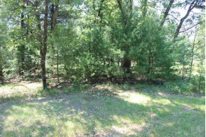 LOT 42 N Badger Dr