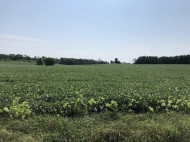 26.8 AC Mahoney Rd