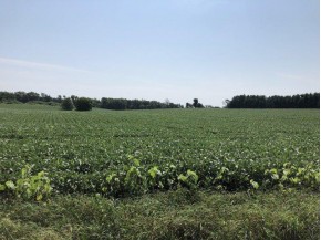 26.8 AC Mahoney Rd