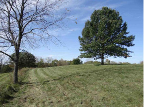 LOT 12 Mississippi Ridge Ln