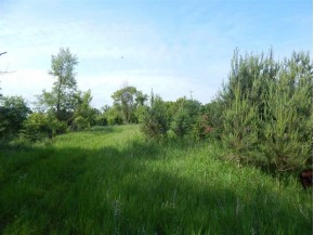 33.4 AC Oak Mound Rd