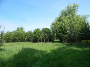 33.4 AC Oak Mound Rd