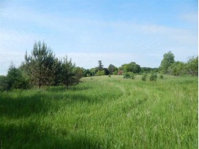 33.4 AC Oak Mound Rd