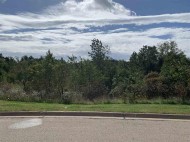 11.49 AC Fox Ridge Rd