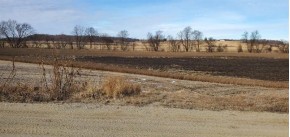 37 ACRES Hwy 11