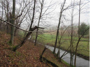 66.89 AC County Road F