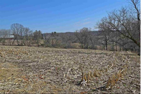 81.05 ACRES Hwy 58