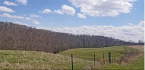 82.5 AC Chaffie Hollow Rd