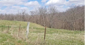 82.5 AC Chaffie Hollow Rd