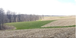 82.5 AC Chaffie Hollow Rd