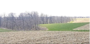 82.5 AC Chaffie Hollow Rd