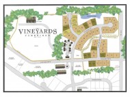 704 Vineyard Crossing