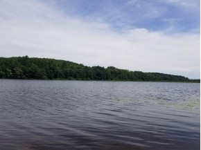 44 ACRES ON Dilly Lake Rd