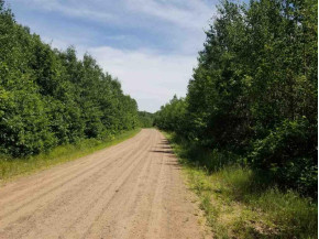 44 ACRES ON Dilly Lake Rd