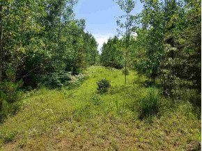 44 ACRES ON Dilly Lake Rd