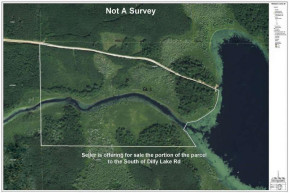 44 ACRES ON Dilly Lake Rd