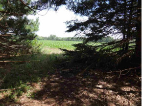 125 ACRES County Road G