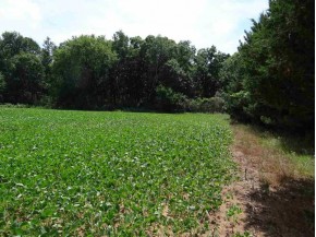125 ACRES County Road G