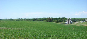 212.5 AC County Road H/ Postville Rd