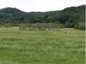 82+/-AC County Road D