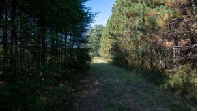 20 AC Oshaukata Rd