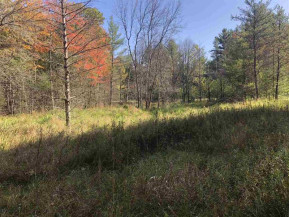 11.5 ACRES Deerborn Ave