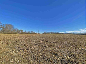 20 ACRES W Creedy Rd