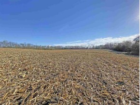 20 ACRES W Creedy Rd