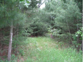 5 AC Edgewood Dr