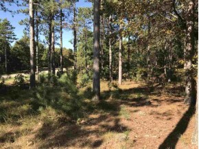 LOT 23 Dover Dr