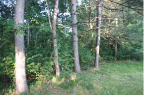 LOT 23 Swan Ct