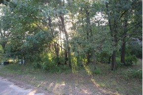 LOT 23 Swan Ct