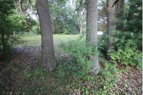 LOT 24 Swan Ct