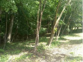 6.26 AC Desoto Ridge Rd