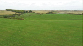 61 ACRES County Road Dd