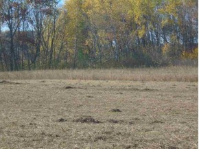 8.92 AC County Road B