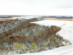 48.96 ACRES Schlawin Rd