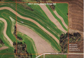 40 ACRES Sherry Ridge Rd