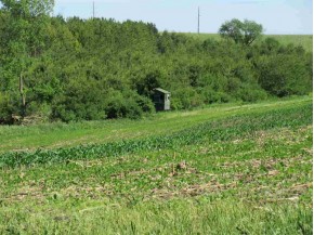 306.5 AC Hay Hollow Rd