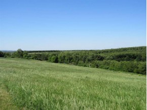 306.5 AC Hay Hollow Rd