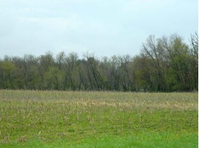 39.71 AC LOT 2 County Road E