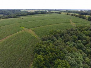 45 ACRES Barreau Rd