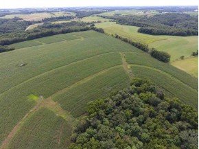 45 ACRES Barreau Rd