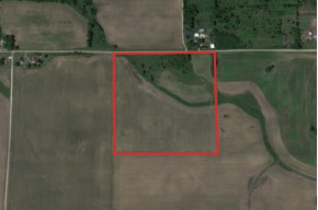 40 ACRES Purintun Rd