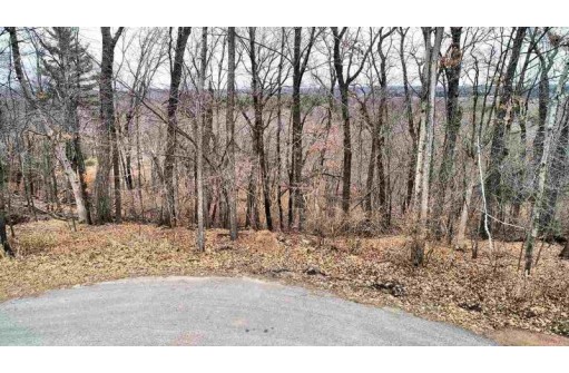 LOT 8 S Grouse Ln, Wisconsin Dells, WI 53965