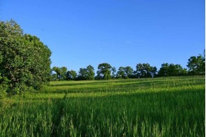 39.6 AC Drammen Valley Rd