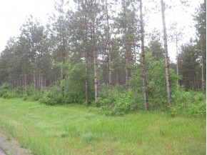 181 ACRES Bell Rd