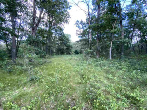 5.06 ACRES Collie Dr