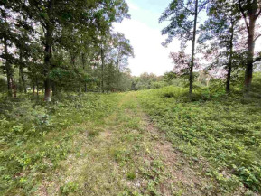 5.06 ACRES Collie Dr